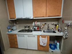 Blk 195B The Periwinkle (Punggol), HDB 4 Rooms #604810311